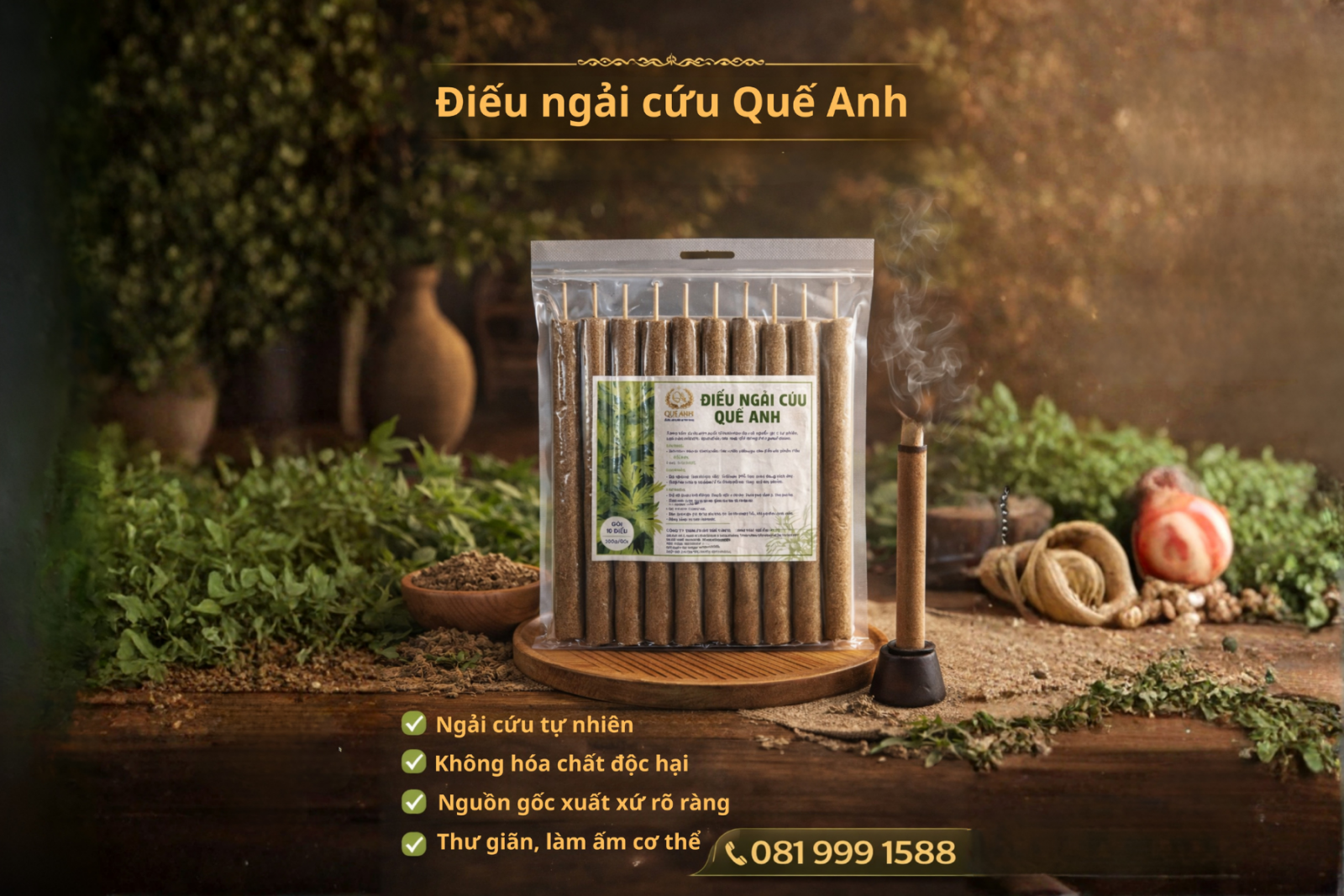 Dieu ngai cuu Que Anh - Giai phap cham soc suc khoe theo phuong phap truyen thong 1